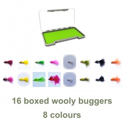 16 woolly buggers boxed set